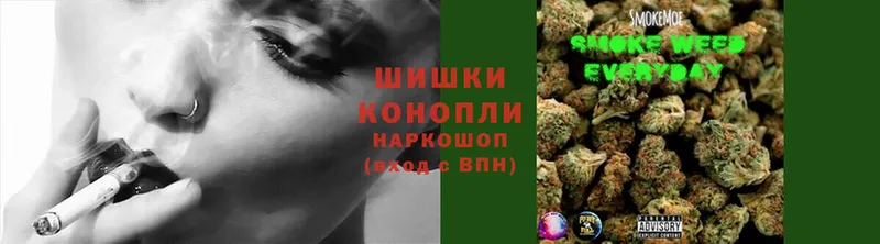 Бошки Шишки индика  Новоаннинский 